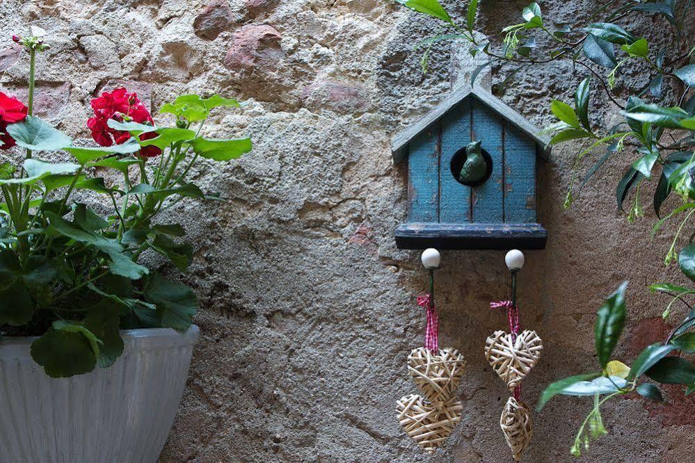 Il Giglio B&B Pienza Exteriör bild