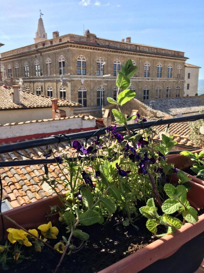 Il Giglio B&B Pienza Exteriör bild