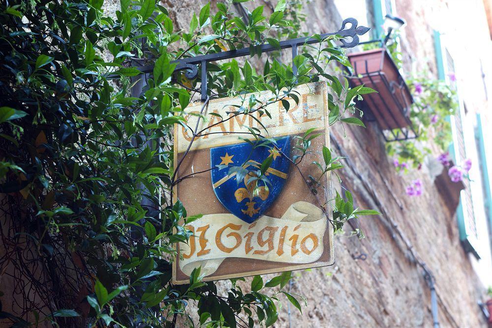 Il Giglio B&B Pienza Exteriör bild