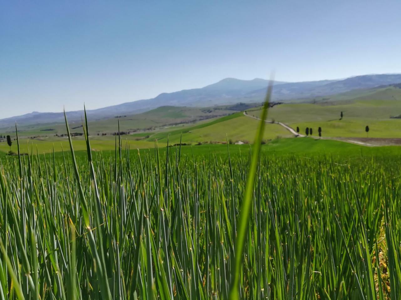 Il Giglio B&B Pienza Exteriör bild